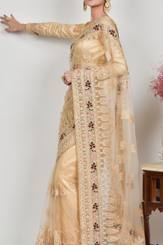 Beige Net Fancy Indian Wedding Saree