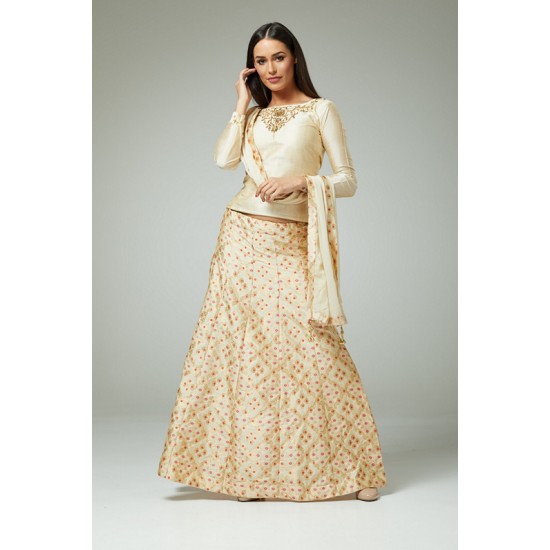 ELEGANT BEIGE EMBROIDERED LEHENGA SET