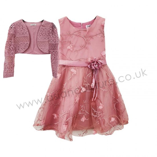 ZQ-145 Dusty Pink Girls Party Wedding Dress With Bolero jacket