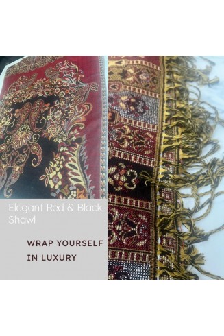 Warm Cozy Winter Pashmina Shawls