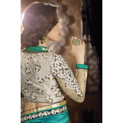 Admirable Turquoise Silk Indian Wedding Saree Admirable Turquoise Silk Indian Wedding Saree