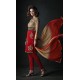 Red & Gold Salwar Suit Indian Ethnic Party Wear Dress
