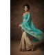 Stunning Ethnic Indian Party Wedding Saree