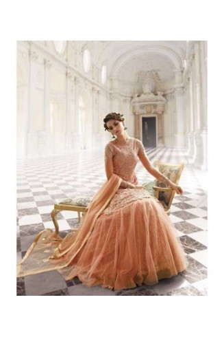 Peach Indian Net Dress Designer Wedding Lehenga/Palazzo